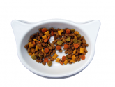 organic pet food