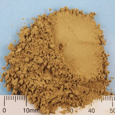 Organic basil powder