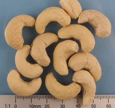 Organic cashew nuts whole