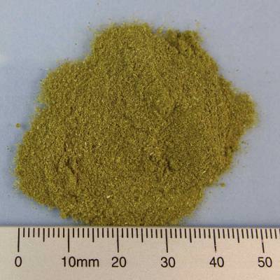 Organic barley grass powder