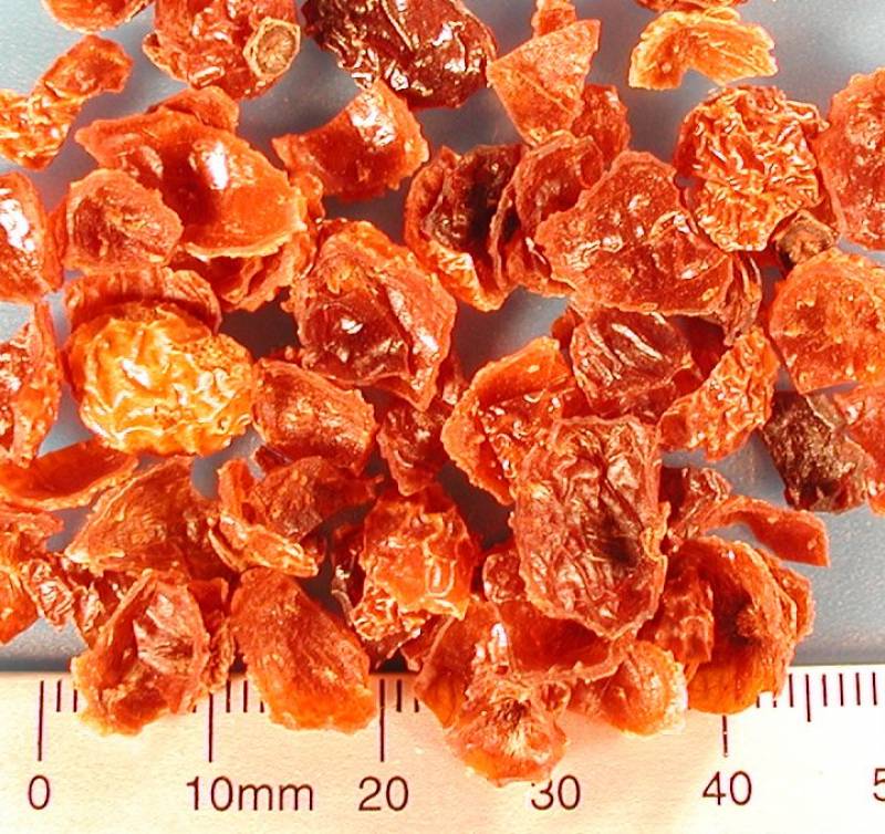 Organic rose hip fruits Bulk Food Producer