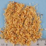 Organic hazelnuts ground 0-2 mm