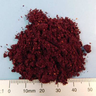 Organic Blueberry (=Bilberry) Fruit Powder FD