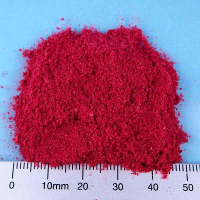 Organic raspberry powder FD