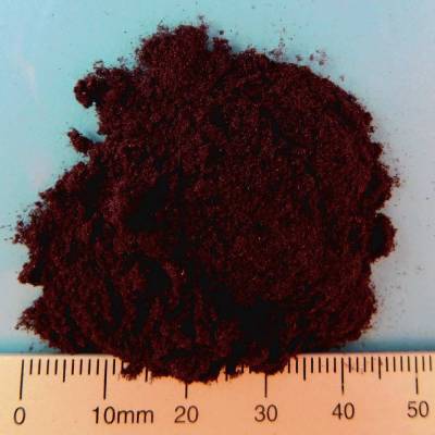 Organic elderberry powder type 180