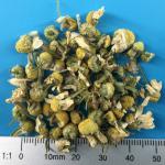 Organic chamomile flowers