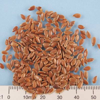 Organic linseed brown whole