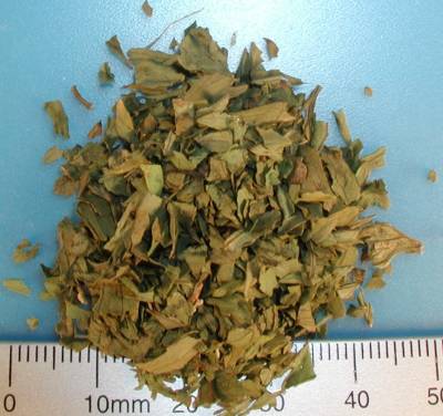 Organic lovage rubbed