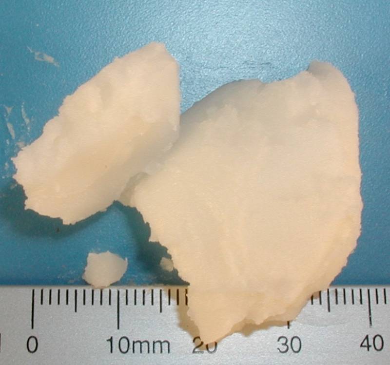 Organic palm fat (=oil) Bulk Food Producer