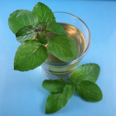 Organic peppermint extract type Lisa