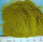 Organic spinach powder