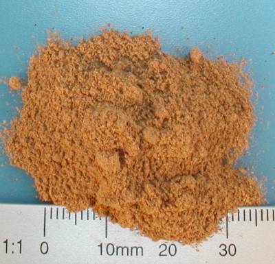 Organic mushroom powder