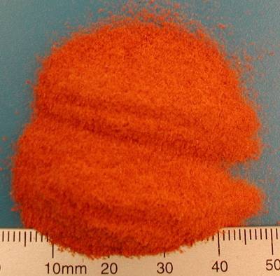 Organic tomato powder pure