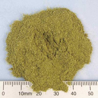 Organic wheatgrass powder