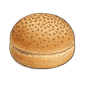 BIO Burger Bun VEGAN