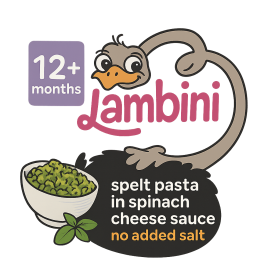 BIO Dinkelpasta in Spinat-Käse-Sauce, ab dem 12. Monat