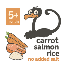 BIO Karotten Reis Lachs, ab dem 5. Monat