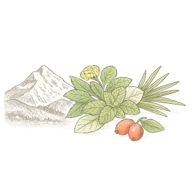 BIO Kräutergarten Bergkräuter Teebeutel